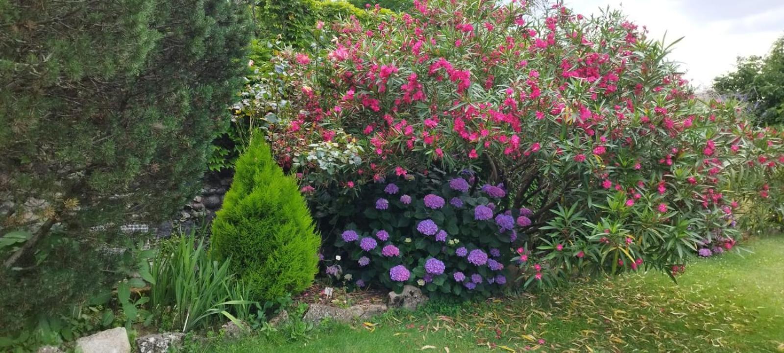 Gite 5 "Le Laurus" Aux Magnolias Aubenas Kültér fotó