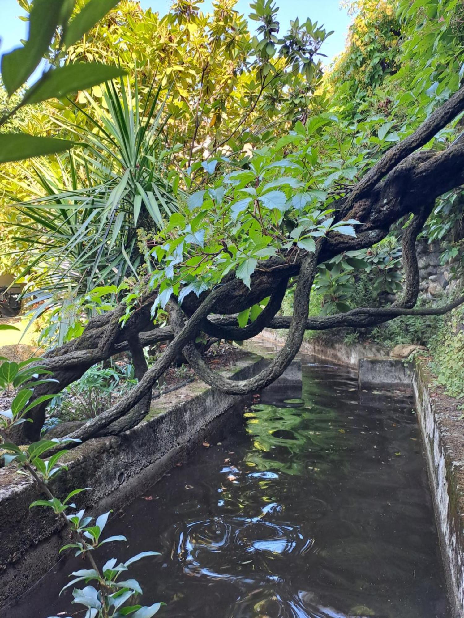 Gite 5 "Le Laurus" Aux Magnolias Aubenas Kültér fotó